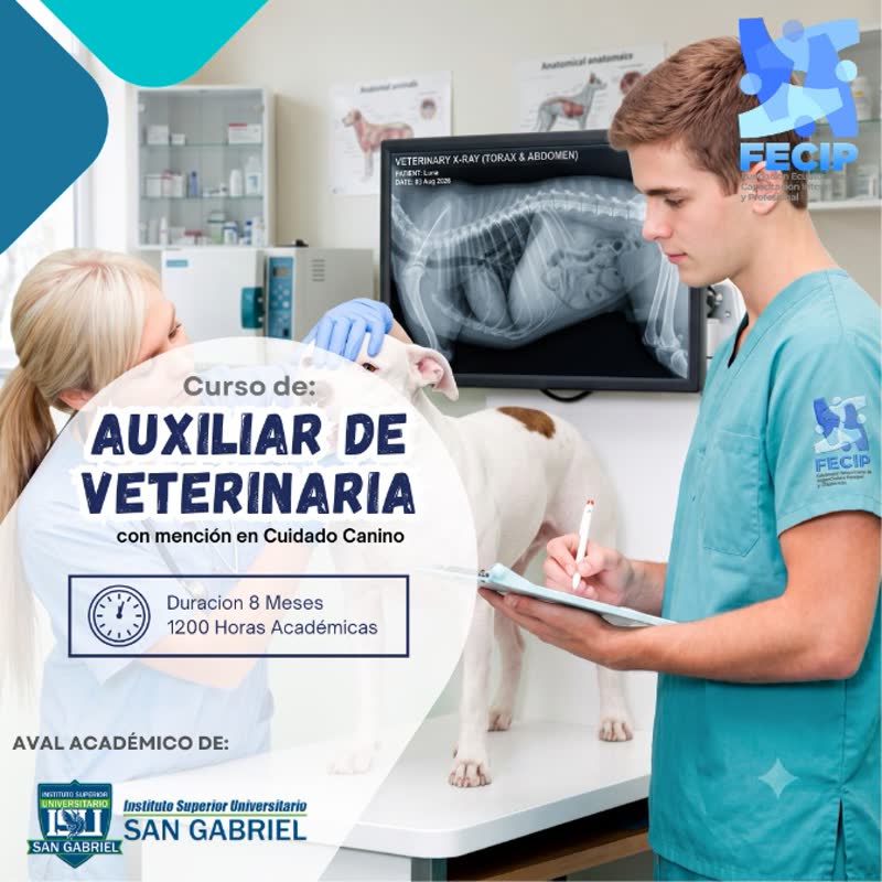 Auxiliar de Veterinaria